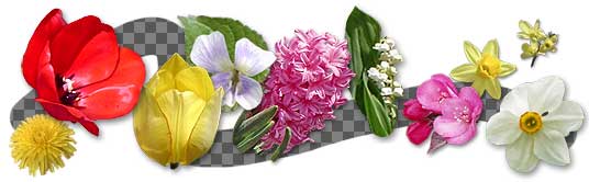 All the rose icons, in various sizes.