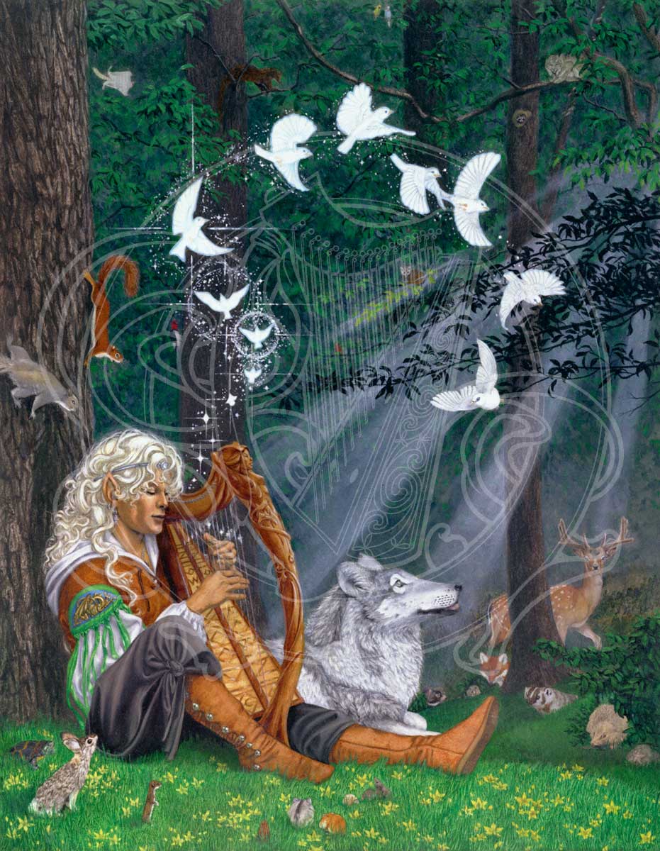 songbirds images