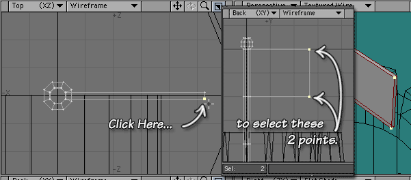 Click the points in the top view to select both points beneath the cursor.