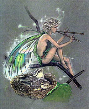 pixie playing pipes to nestlings in nest