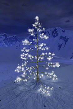 lit tree in snowy wilderness