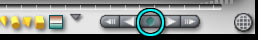 The VCR controls of the Selection Palette, with the central button highlighted