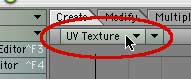 Change the TL Viewport to UV Texture