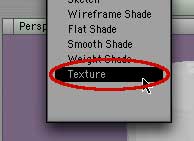 Set TR viewport to Perspective, Texture
