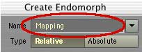 Name it "Mapping."