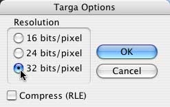 In the Targa Options dialog, under Resolution, check the "32 bits/pixel" radio button